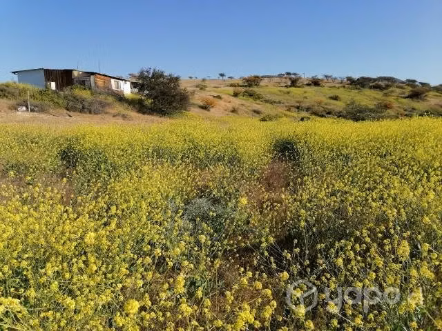 Terrenos en venta en. Batuco. Ovalle - Imagen 6