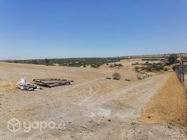 Terrenos en venta en. Batuco. Ovalle - Imagen 2
