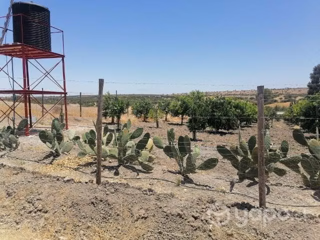 Terrenos en venta en. Batuco. Ovalle - Imagen 5