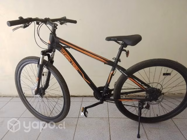 aro 29 nueva - Imagen 2