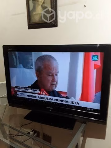 T.V excelente estado