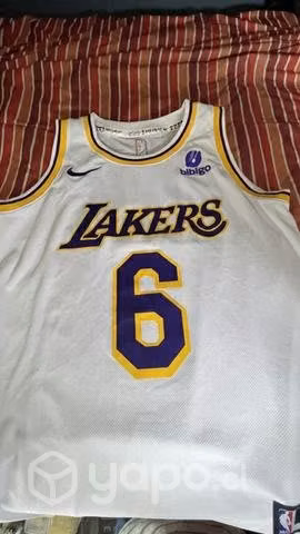 Polera nba James
