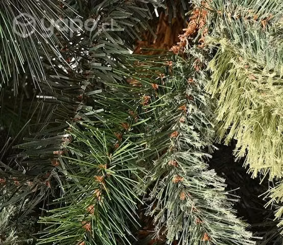 Árbol bicolor destellos dorados > 2,10 Mtrs