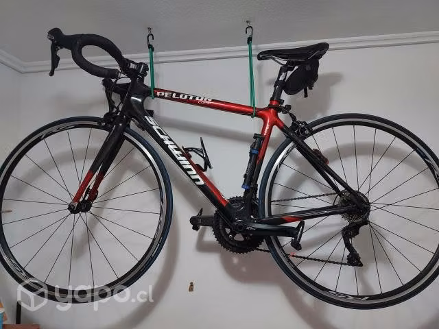 Bicicleta carbono