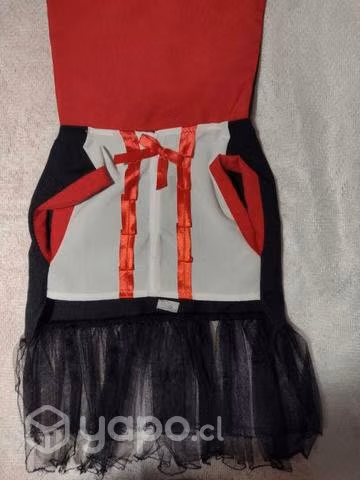 Hallowen máscotas - Imagen 4