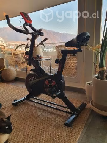 Bicicleta Estática Spinning