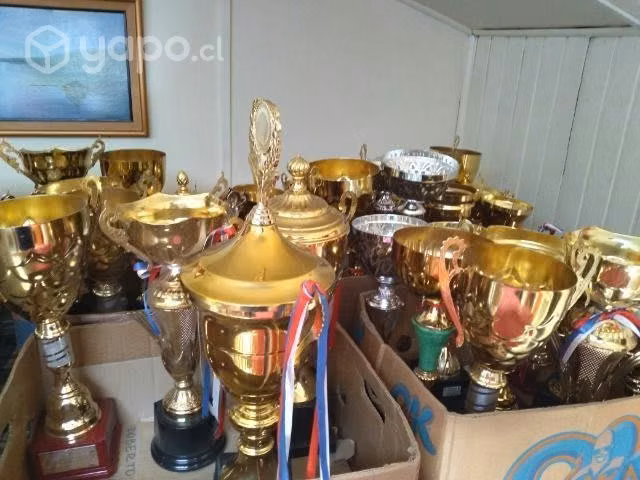 Copas de premio