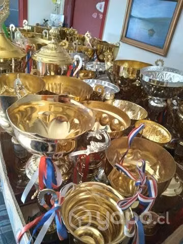 Copas de premio - Imagen 2
