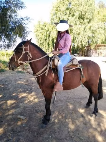 Caballo Colorado