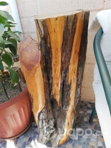 Troncos ornamento