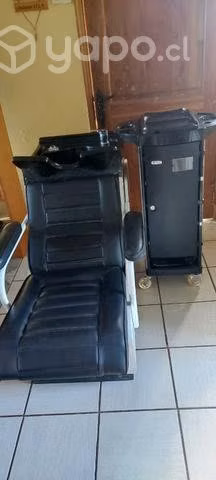 Combo lavapelo y carro apoyador,con muy poco uso