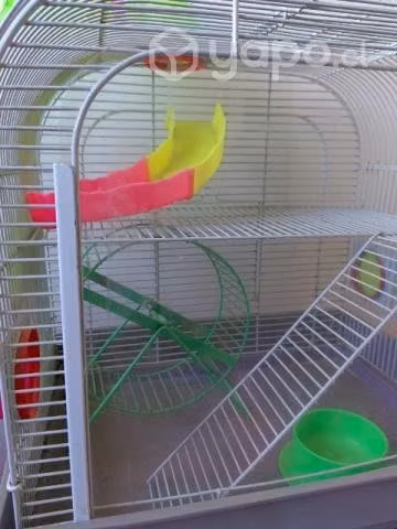 Jaula Hamster
