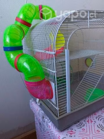 Jaula Hamster