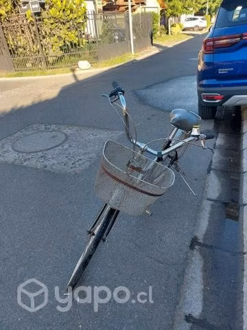 Bicicleta urbana mujer