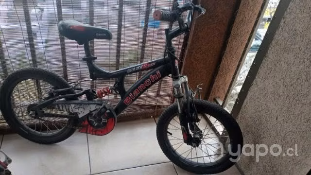 Bianchi goliat 16