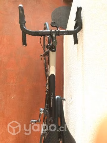 Bicicleta Trek Domane al2 - Imagen 5