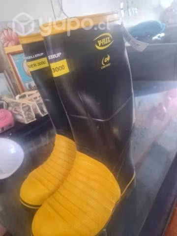 Botas