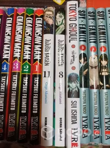 Mangas excelente estado