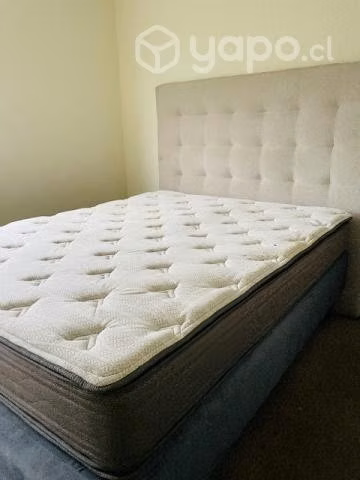 Cama