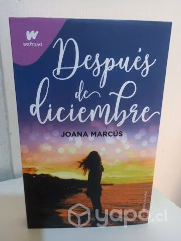 Libro Despues de diciembre