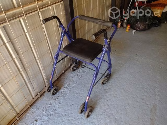 Carito de ancianos para caminar