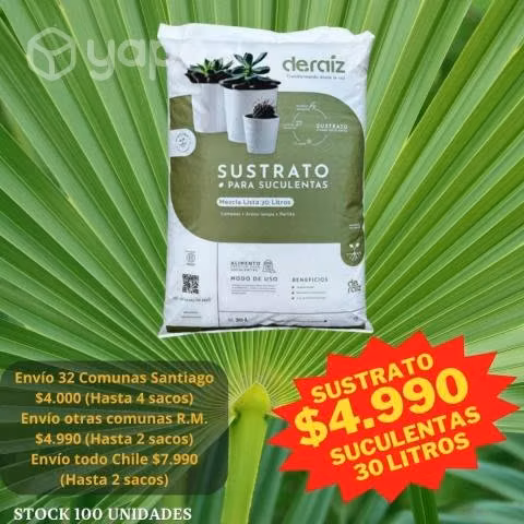 Sustrato Para Cactus y Suculentas