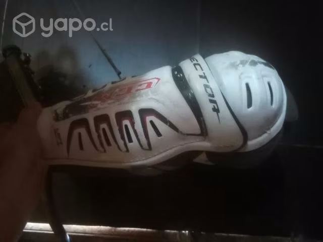 Economicas