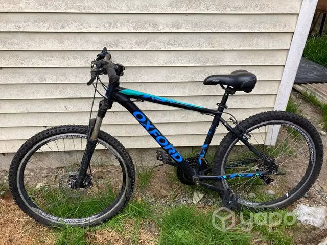 Bicicleta Merak1
