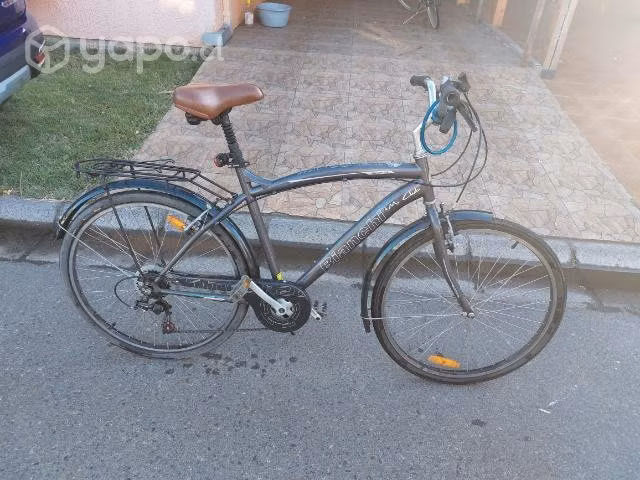 Bicicleta urbana adulto