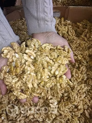 Nueces mariposa del año 2022