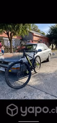 Trek marlín 5