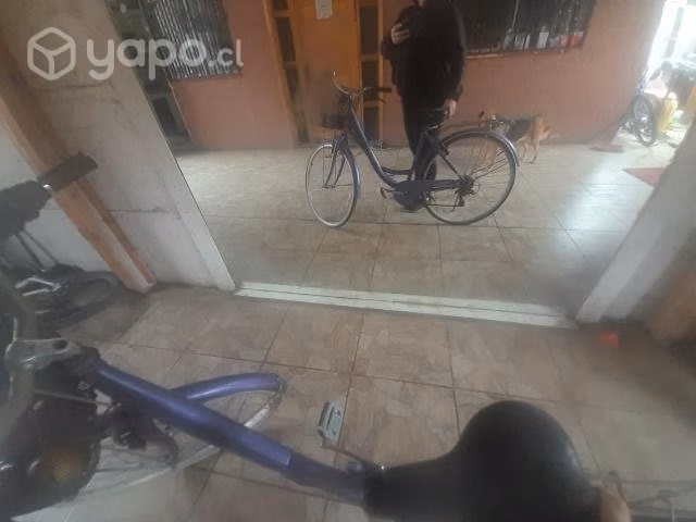 Bicicleta mujer paseo con canasto - Imagen 3