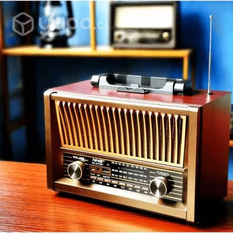 Radio Portátil Vintage Tercera Edad Fm Am Bluetoot