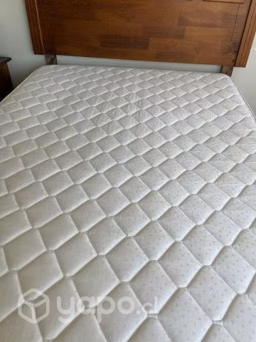 Cama Rosen 2 plazas
