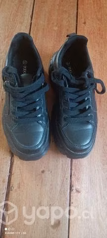 Zapatillas