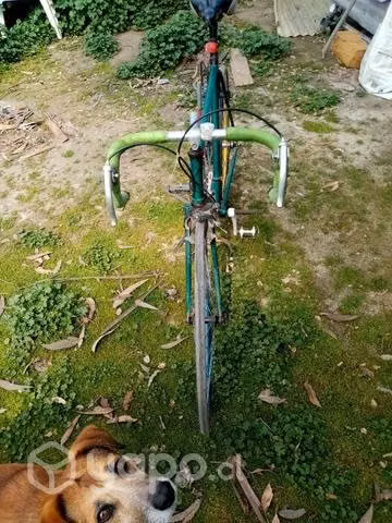 Bicicleta pistera aluminio