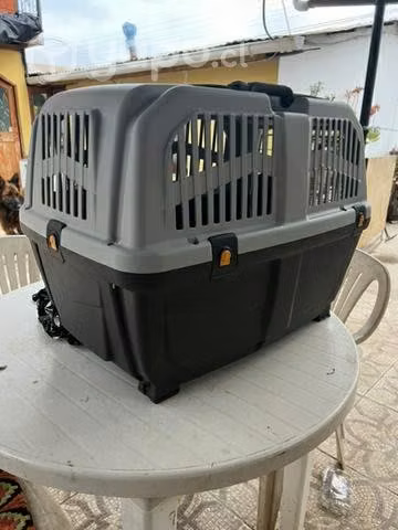 Canil transporte de mascotas