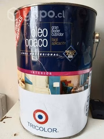 Óleo Paco