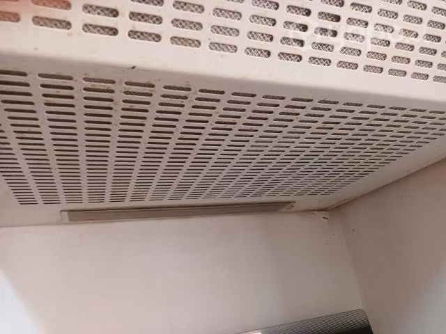 Campana mademsa