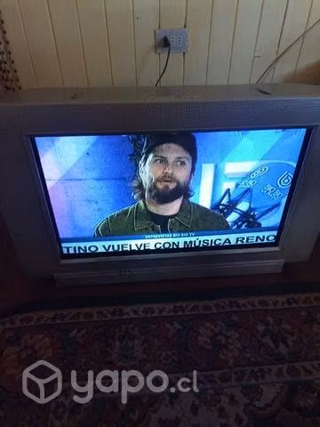 Televisor buen estado funcionando