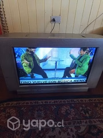 Televisor buen estado funcionando