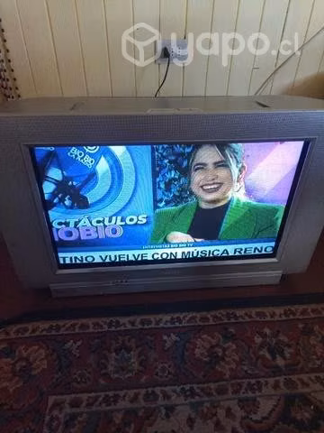 Televisor buen estado funcionando