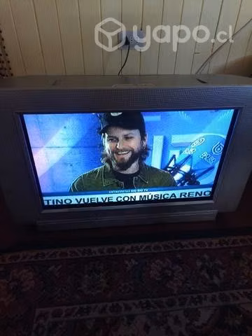 Televisor buen estado funcionando