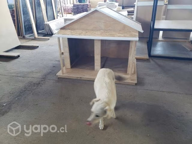 Casa para Mascotas - Imagen 2