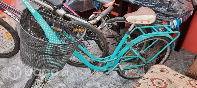 Bicicleta mujer