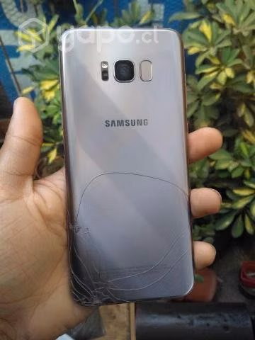 Galaxy s8 plus