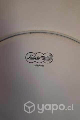 Parche de caja Ludwig de 14 pulgadas