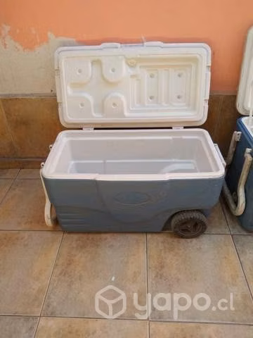 Excelentes coleman de distinta capacidad!!! - Imagen 3
