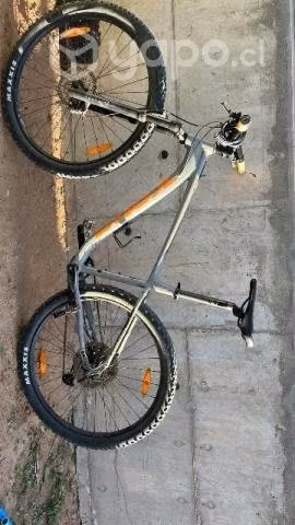 Kona mahuna 2019