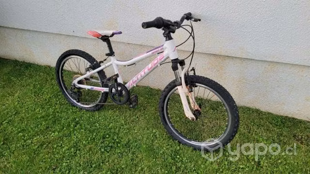 Bicicleta Sport 20 Altitude